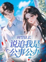 刑警队长说追我是公事公办?阅读
