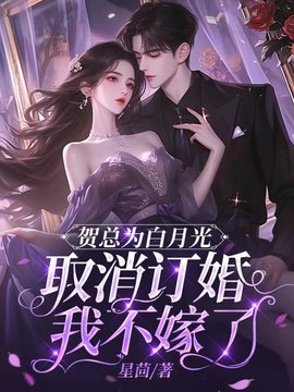 许星染贺寒声的小说