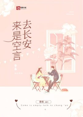 来是空言去长安