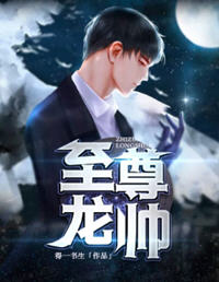 至尊龙帅