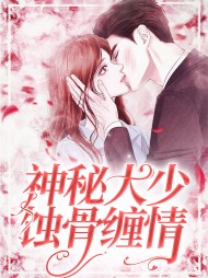 夏清欢湛璟塬