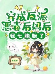 穿成反派恶毒后妈后,我七胞胎了阅读