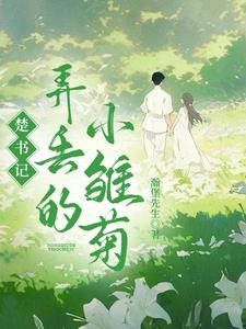 楚书记弄丢的小雏菊