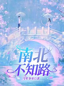 南北不知路阅读