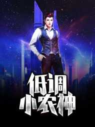 杨星辰紫夜