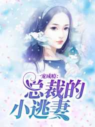 苏安浅燕西爵