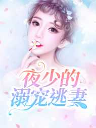 丁晓夜楚寒