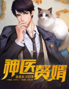 华云夏无双