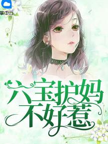 时宛言封景城