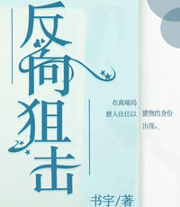 反狙击方案