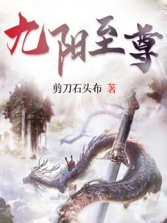 九阳至尊TXT下载
