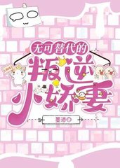 无可替代的你txt