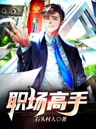 职场高手小说在线看