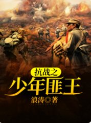 抗战之少年匪王免费阅读