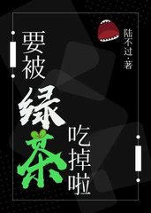小说余生欢喜:纪先生情深似海