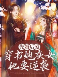 苏清欢君洛寒