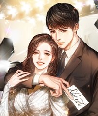 主人公叶天明和江暮婉免费阅读小说