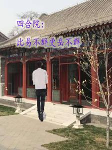 四合院比易不群更岳不群(斯虞)
