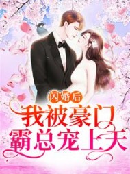 闪婚后我被豪门霸总宠上天