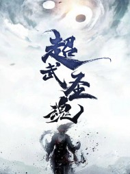 超武圣魂叶飞扬沐凌烟是谁