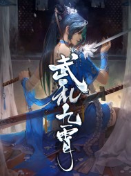 武破九霄叶梵天小说