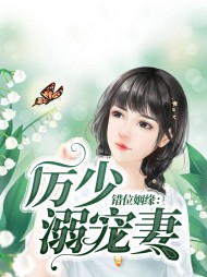 夏七夕厉少爵