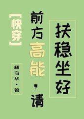 《前方高能》小说
