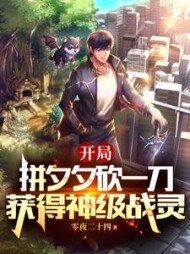 开局拼夕夕砍一刀获得神级战灵by零夜二十四