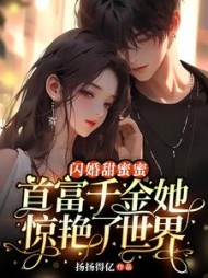 安小婉楚凌夜