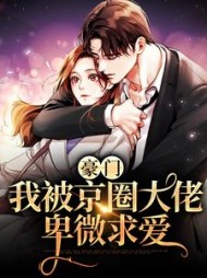 豪门我被京圈大佬卑微求爱