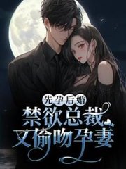 苏暮沉顾繁星