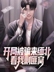 开局被骗来缅北看我剿匪窝