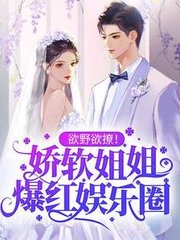 夏柠沈昭辞