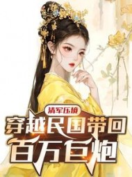 清军压境穿越民国带回百万巨炮
