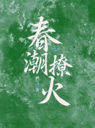 春潮撩火姜泠傅砚舟