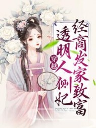 穿越透明人侧妃经商发家致富