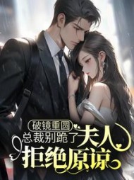 破镜重圆总裁别跪了夫人拒绝原谅