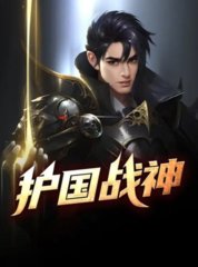 护国战神叶辰完整版