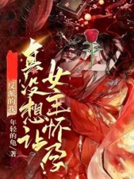 反派的我真没想让女主怀孕
