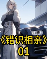 错识相亲