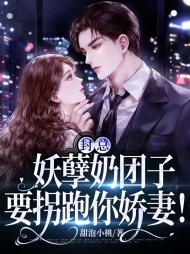 封总妖孽奶团子要拐跑你娇妻