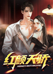 《红颜》小说