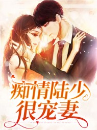裴初陆南琛