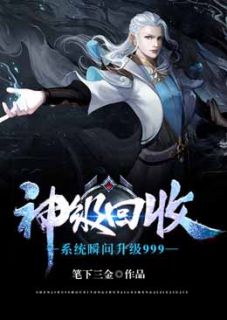 神级回收系统苏霸