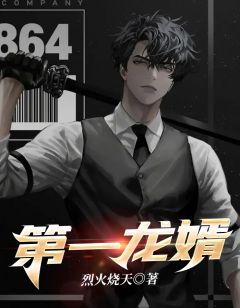 万龙狂婿