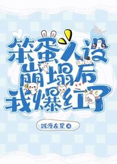 笨蛋好不好