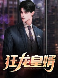徐北枫沈雨沁狂龙皇婿