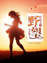 野望叶公子著