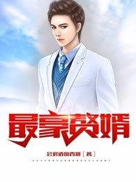 最豪龙婿陆枫
