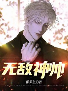 无敌神帅杨辰小说